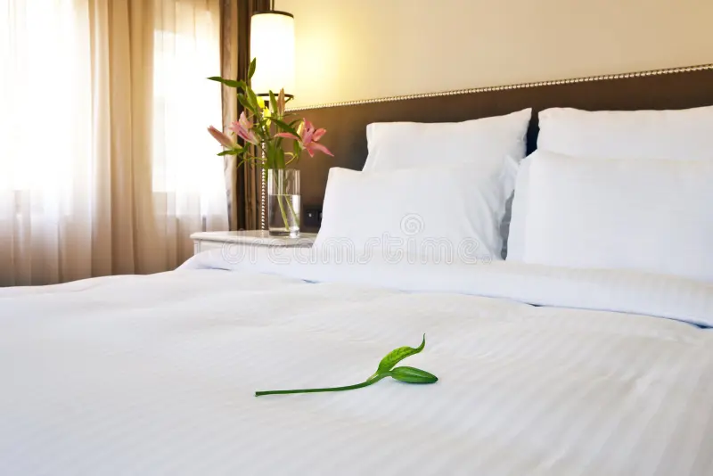 Hotel Bed